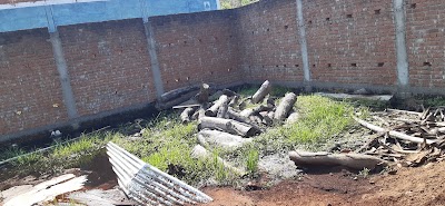 CARP75Y5JYJY_Tulsi_timber_ChIJ87GsyTI58jkRSVIcDcuCb_k_4