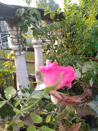 COLL0Y8754IN_Mahila_High_school_lakhisarai_ChIJnaD3KNM88jkR5KWgIzpE4Eg_9