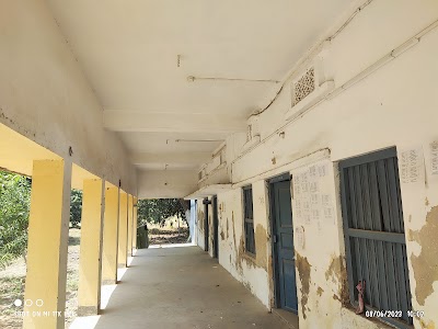 COLLCIFWEU6L_Shree_Krishna_Mahila_College_ChIJM8pXoy8b8jkRO7c_McrjV08_5