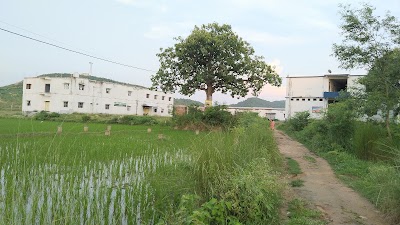 COLLNSAQJHH1_Jamui_College_of_Pharmacy_ChIJzzgW7Ncr8jkRME11ZMsp3rA_3