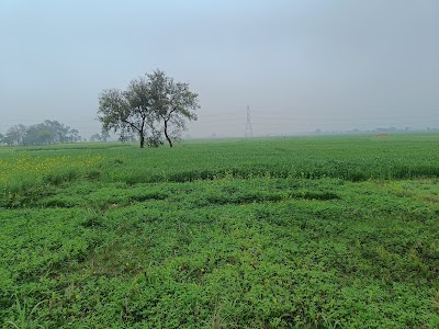 COLLSYTVQW7K_Pyarepur.sarmera.nalanda_ChIJwbdcH_lp8jkRLT3Pg3ZI0zk_1