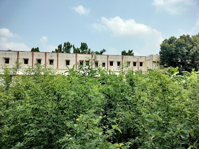 COLLTWSWHBUH_S_S_College_Mehus_ChIJj23MOBJC8jkRq0sPXArLTmA_7