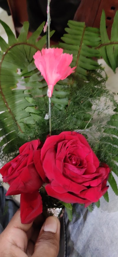 COLLXIZJX9WQ_R_Lal_College_Play_Ground_ChIJqfJQiXI98jkR6Tt7HeiYuN0_3