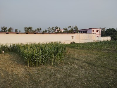 COLLXX0CPY5S_PDSK_College_Sadanandpur_Begusarai_ChIJkasHjY738TkR3OrDNTEuHdM_3