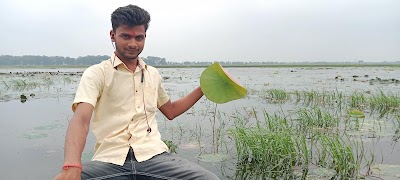 COLLZC612J01_B.P_Inter_School_ChIJUd2IsCgb8jkRCnDMopA8i8A_8