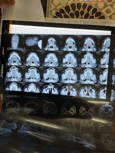 DENTN6O1044G_Dr_Prem_Kumar_ChIJjU_XazAb8jkRtqwrxxJ6bMk_2