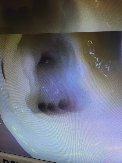 DENTPO91CC3V_Usha_Dental_Clinic_ChIJsTGk079t8jkRZgRfEKAQolE_9