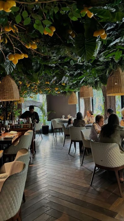 ELECVI2ZH2IJ_Krishnandan_Singh_Electrician_ChIJ14nbjNEN8jkREiSFay_Ly9I_8