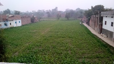 FINAIYBRIQE4_Business_Consultant_ChIJUQoV_YfF8TkRmExYo9YfV00_1