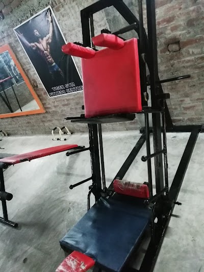 GYM54K1LT9KQ_Tiger_Gym_And_Fitness_centre_ChIJzUpJx6EN8jkRPHrj-u0yTLs_7