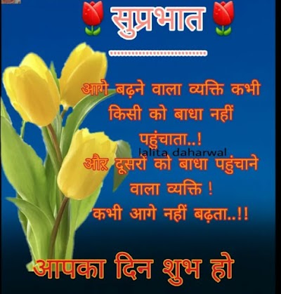 GYMCESWFE6N8_Jai_Bajrang_Bali_Body_Builders_ChIJlW80FM0a8jkRqCVOhIhArqs_3