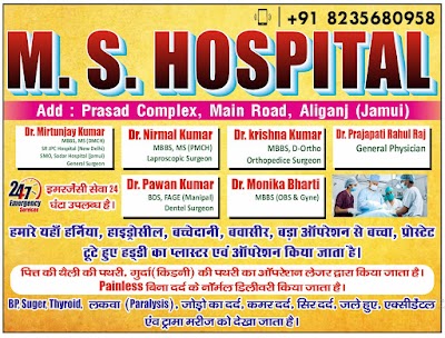 HOSP41HA1G4H_M.S._HOSPITAL_ChIJEUdyQwBJ8jkRNjzBgQQMOPo_1