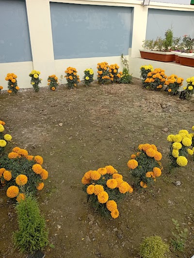 HOSP56SRFTLC_Sri_Radhe_Hospital___Fertility_Center_ChIJz-pYhp498jkRJsHKYXXoCPI_6