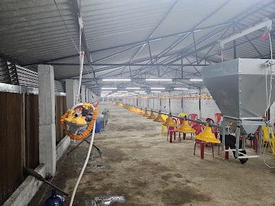 MANF1IQRCPW4_Green_Poultry_Palace_ChIJH6x1dgAj8jkR5HGXr7DX9VY_1