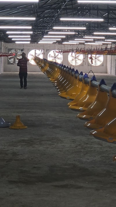 MANF1IQRCPW4_Green_Poultry_Palace_ChIJH6x1dgAj8jkR5HGXr7DX9VY_5