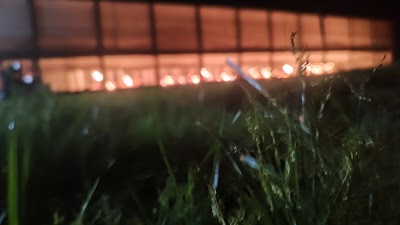 MANF2LI9N9TN_The_egg_point_ChIJu5_gQ9Av8jkRK01Cc4-g1YM_4