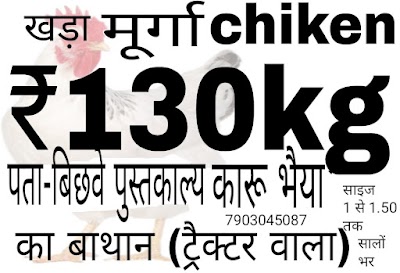 MANFJDZF6ROK_Paultri_ChIJBR_HEkgl8jkRanMV8cMTmx8_4