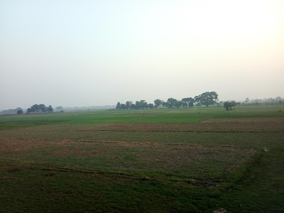 MANFQOKJYWL9_Natraj_Rice_Mills_Pvt_Ltd_ChIJ36E_eO478jkRLzXz0w6GBIU_5