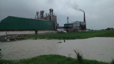 MANFQOKJYWL9_Natraj_Rice_Mills_Pvt_Ltd_ChIJ36E_eO478jkRLzXz0w6GBIU_6