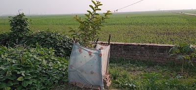 MANFS26L94YZ_Poultry_farm_ChIJ8YtbPDb18TkRtv0elqt6BTs_5