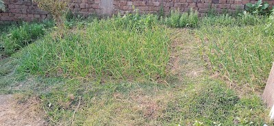 MANFS26L94YZ_Poultry_farm_ChIJ8YtbPDb18TkRtv0elqt6BTs_8