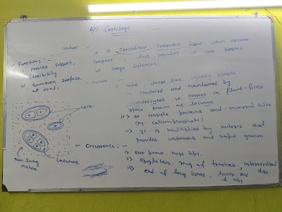 PHARQL7GRGSF_Unitorium_Classes_ChIJoy6jlJlD8jkRYQB0isuxQbY_8