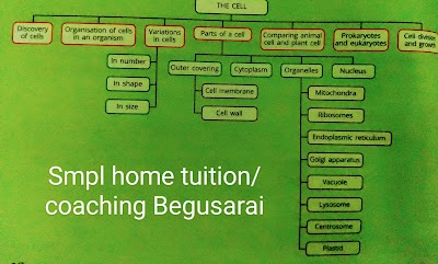 PHARUNXQA515_SMPL_Home_TuitionCoaching_Begusarai_ChIJBeRVyLIb8jkRwTVCasqczLs_7