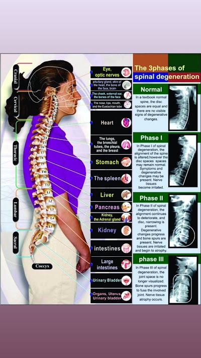 PHYSETW14EKD_Jai_Govind_Natural_Therapy_Health_Care_Centre_ChIJI5OiFEsj8jkRcGje0YzlsiU_10