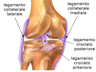 PHYSKOH8OKKY_Sukrit_Acupressur_therapy_kendra_Dr.Mukesh_Singh_ChIJ526DQCAb8jkRyiHG3Ik3Wbg_8