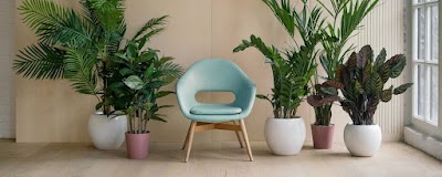 PLUM1RGIEU2K_Shiv_Sakhti_Tools___Hardware_ChIJ_62cONqR7TkR7fe0A6oP3Xc_2