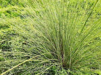 POST1V1QW87A_Bishanpur_Post_Office_ChIJ4addaO8R8jkR4iA8sZMP_9s_1