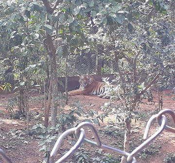 POST1V1QW87A_Bishanpur_Post_Office_ChIJ4addaO8R8jkR4iA8sZMP_9s_3