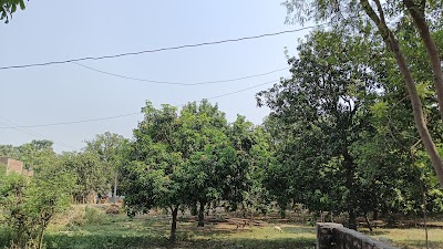 POST7UM1DOU2_Post_office_Alinagar_ChIJS5kyIbMh8jkRUoSUy_fuAuU_2