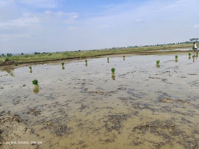 POSTEI2WORJB_Post_Office_Dhanama_ChIJNbq6OSA28jkRCC-_SJHC8F8_3