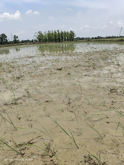 POSTEI2WORJB_Post_Office_Dhanama_ChIJNbq6OSA28jkRCC-_SJHC8F8_8