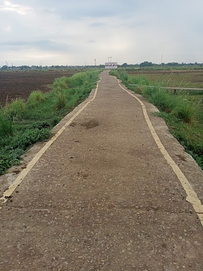 POSTPY8S02E7_POST_OFFICE_KAIYAR_ChIJv0igljw28jkR-Z7C42x20MQ_8