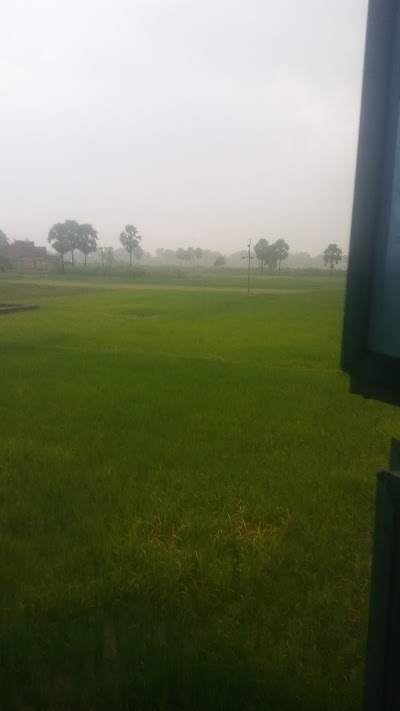 POSTPY8S02E7_POST_OFFICE_KAIYAR_ChIJv0igljw28jkR-Z7C42x20MQ_9