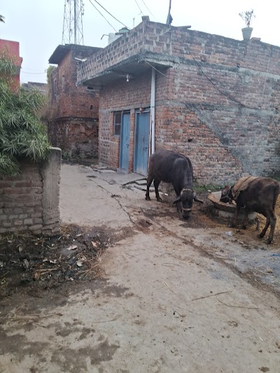 POSTQROAI0ZE_Post_office_ChIJCR_Xn9pv8jkROQEamJnfJbk_1