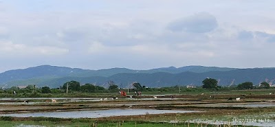 SCHO0BI6D5UX_Pawai_Upgraded_Middle_School_ChIJHRXSWQ0h8jkRC_rj_jngRzY_2