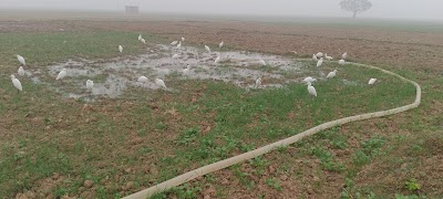 SCHO0GZ0GOUB_Middle_School_Laxmipur_ChIJWWQ0r-Uj8jkRLosJVOgQdrQ_6