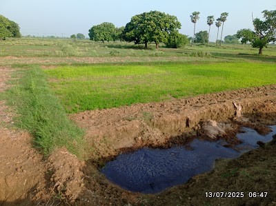 SCHO0RBST0AE_Garsanda_Middle_School_ChIJfZygcQc88jkR2zoG0DXPPgo_10