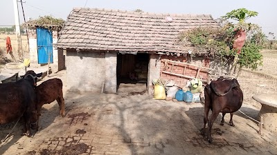 SCHO2GLLNFOE_Parsama_middle_school_ChIJf-AoBKg78jkROfrr1lwwlQc_2