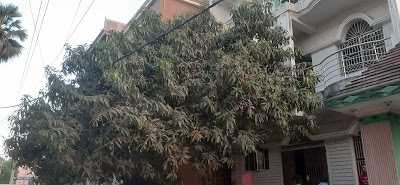 SCHO54UH4T1O_Sky_velley_public_school_ChIJE5-dERYj8jkRM2z1dAlrhww_2