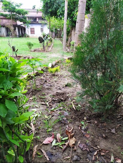 SCHO6AVQLA3I_Middle_School_Saday_Bigha_ChIJMZ1zi8g98jkREK2I1GoeYBE_2