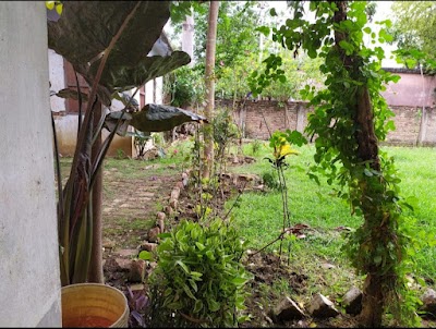 SCHO6AVQLA3I_Middle_School_Saday_Bigha_ChIJMZ1zi8g98jkREK2I1GoeYBE_9