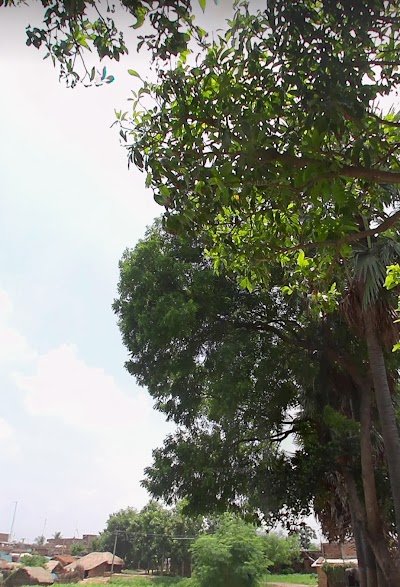 SCHO8RAQY19D_High_school_Singhaul_Tetariya_ChIJoWV93uUn8jkRMrie52azU0k_3