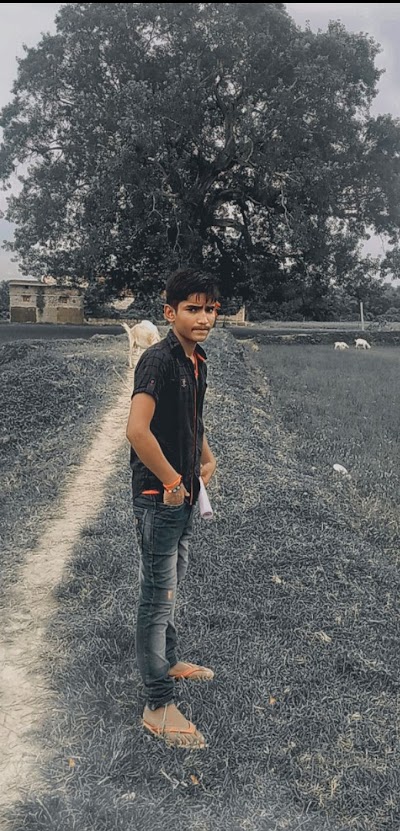 SCHO9C9AWKA9_Middle_School_Singhchak_ChIJi8pNKyoj8jkRwZXe5PKRKqw_4