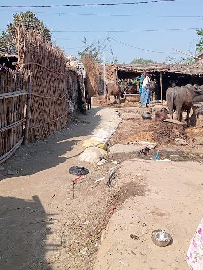 SCHOEIVXUOF7_PRIMARY_SCHOOL_ChIJdTyUwuYZ8jkRE31LtC1wNl8_1