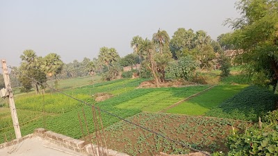 SCHOHVG1ED2Q_Primary_School_Bind_Tola_Gunsagar_ChIJHaRrZfol8jkRhGQ5oMpZAO4_2