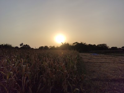 SCHOI6M1DMRZ_High_school_Laldiyara_ChIJc1a_JxoY8jkRfjtggKvptSc_8